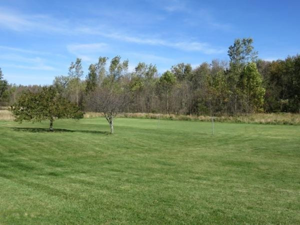 453 South Angola Road Coldwater, MI 49036 - Photo 46 of 48 47