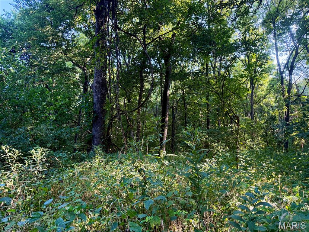 0 County Road Strasburg, IL 62465 - Photo 69 of 97 Gallery Image 69