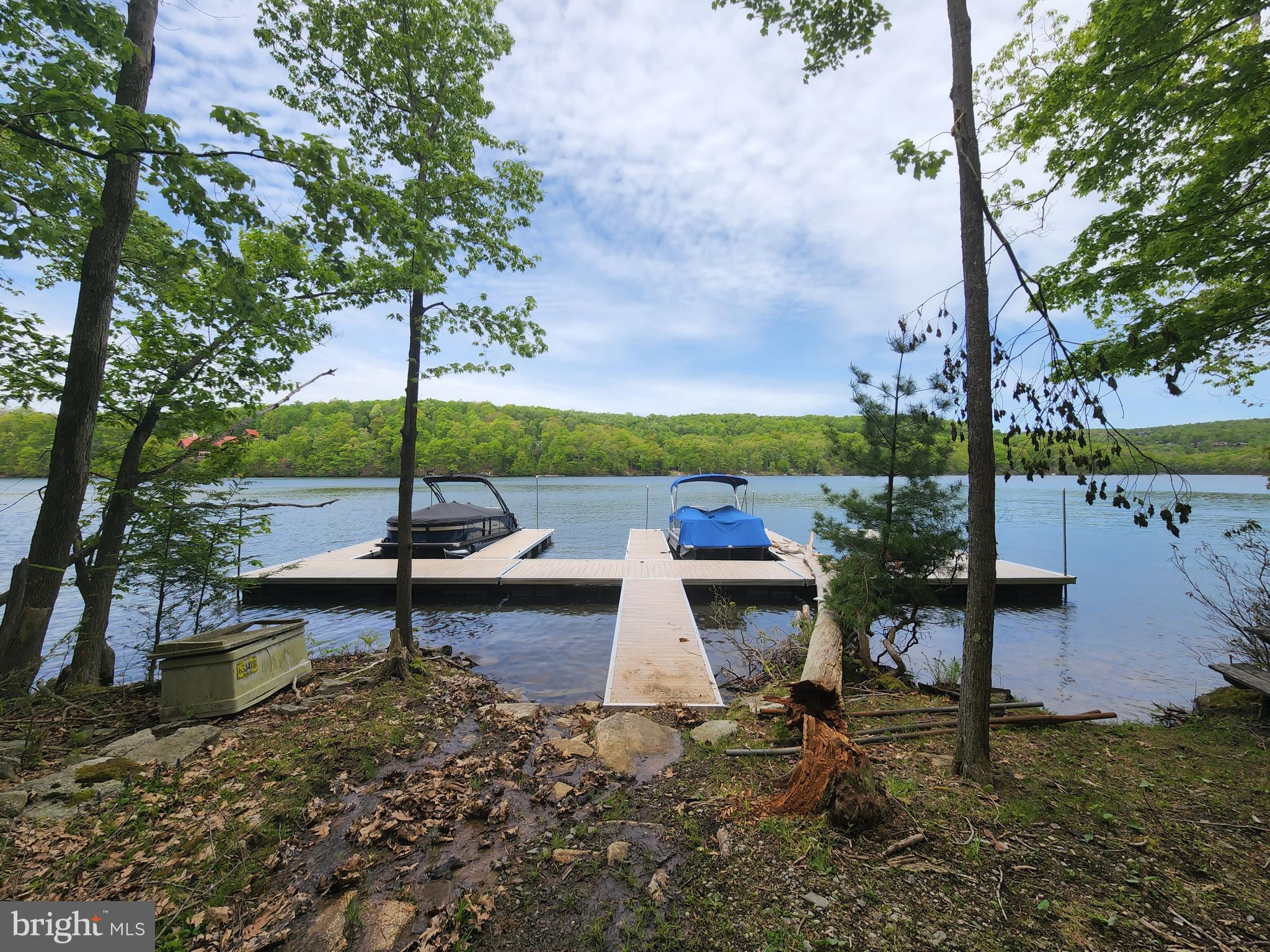 a view of a park with large trees