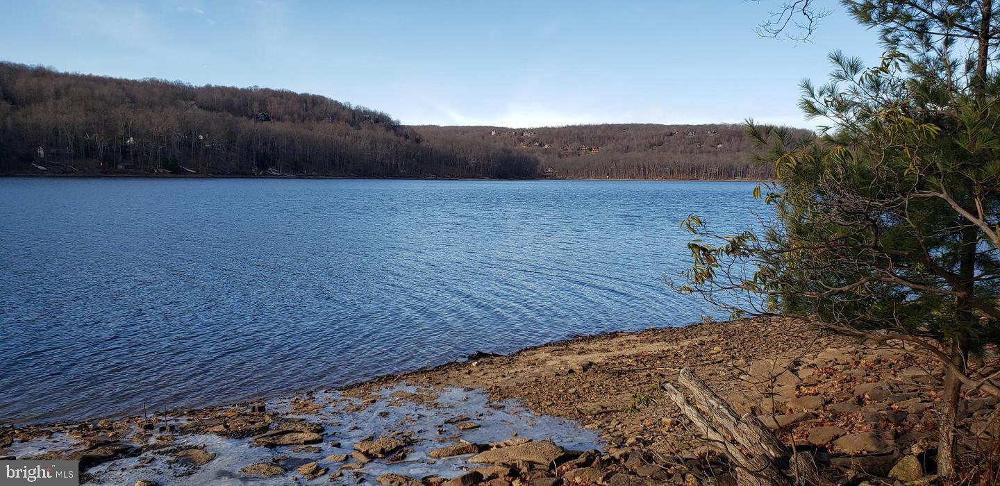 Edgewater Drive, Unit 4 Oakland, MD 21550 - Photo 6 of 16 a view of a dry yard