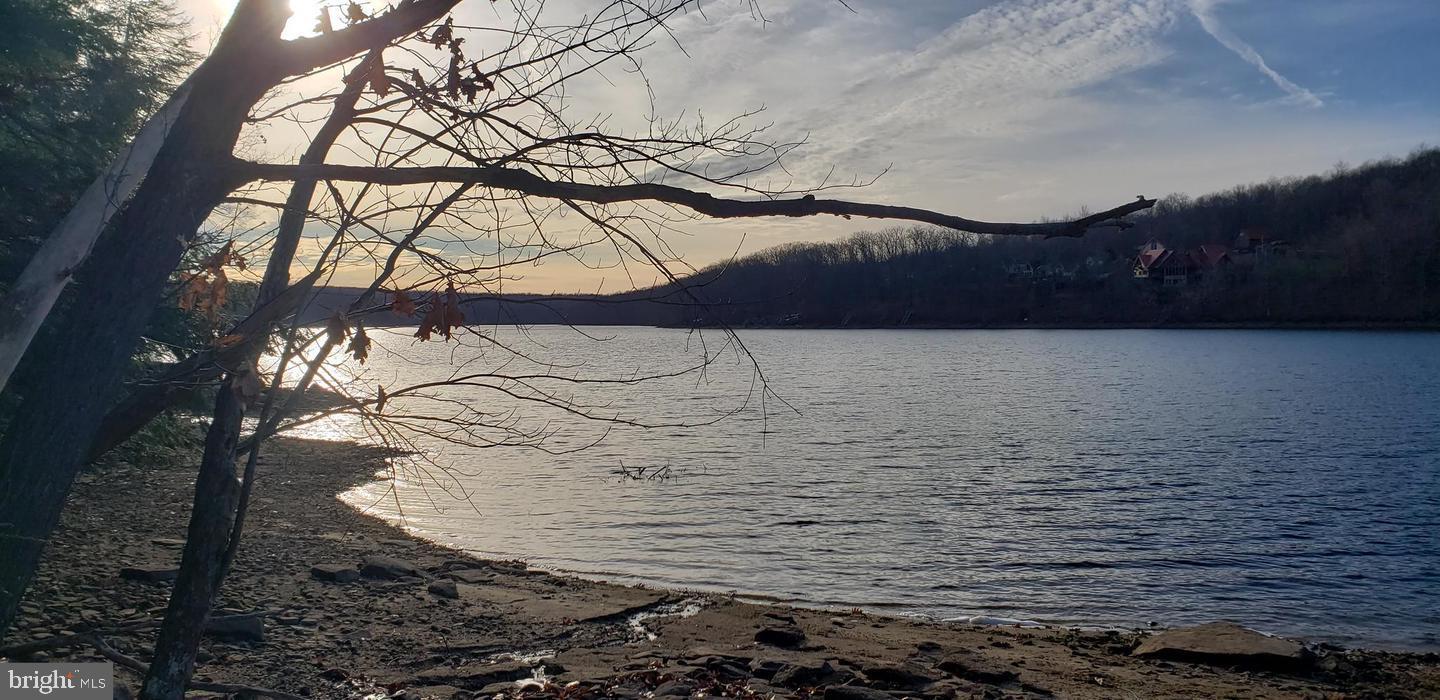 Edgewater Drive, Unit 4 Oakland, MD 21550 - Photo 7 of 16 a view of water pool