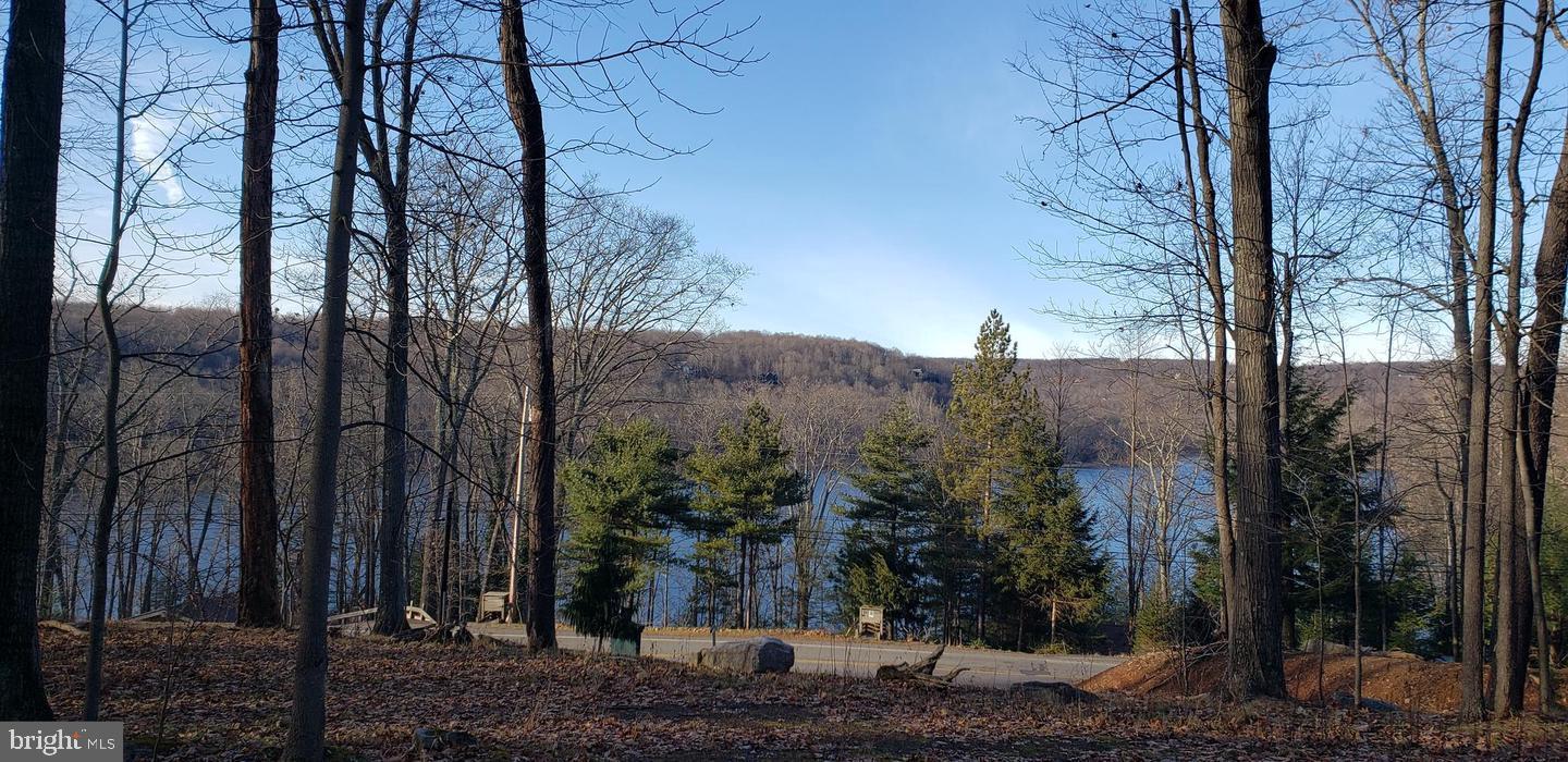 Edgewater Drive, Unit 4 Oakland, MD 21550 - Photo 8 of 16 a view of a backyard of the house