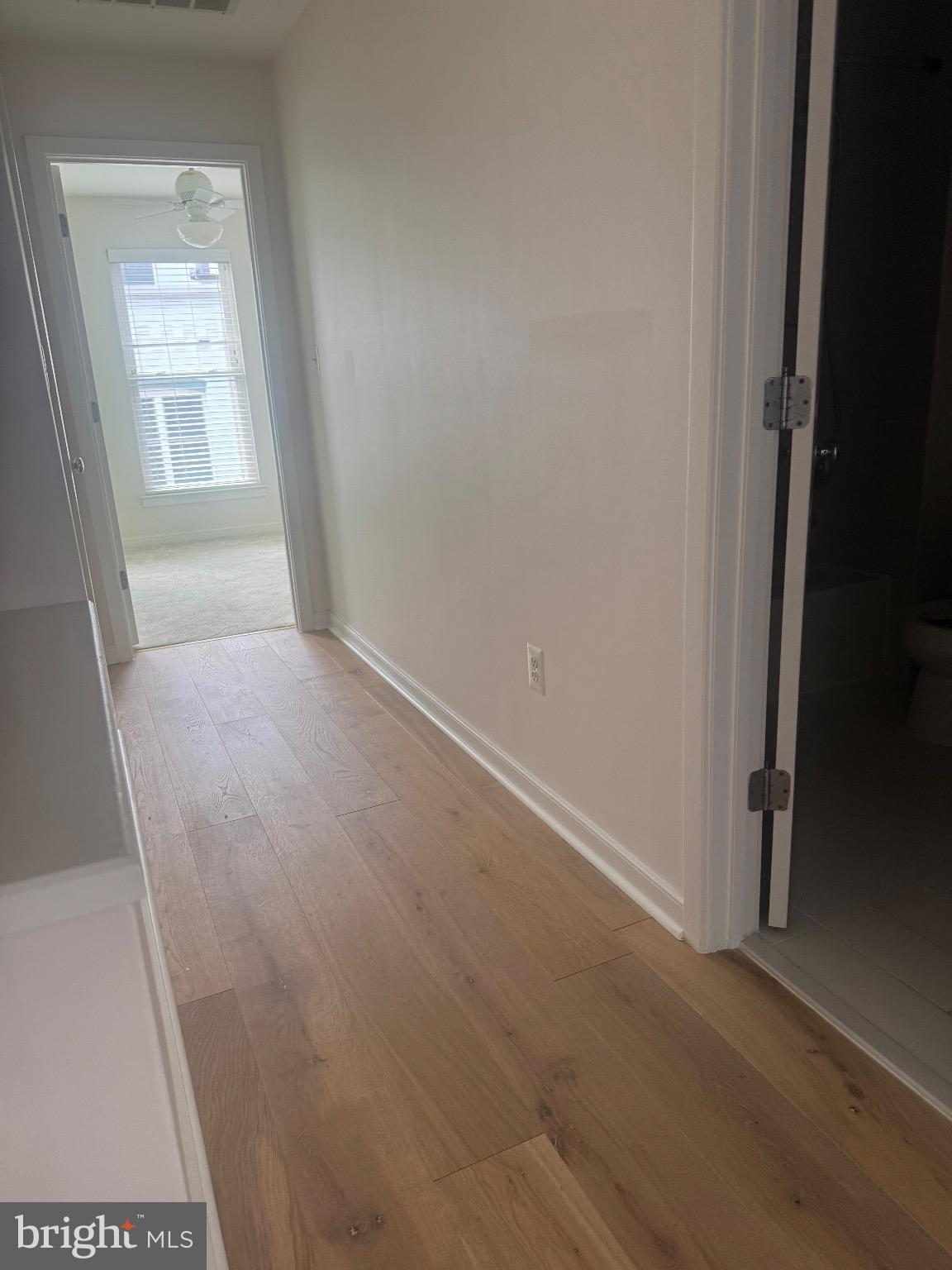 1017 5th Street Southeast Washington, DC 20003 - Photo 14 of 26 Bright and inviting hallway with modern flooring.