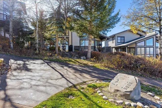 a view of a grassy field with mountains in the background