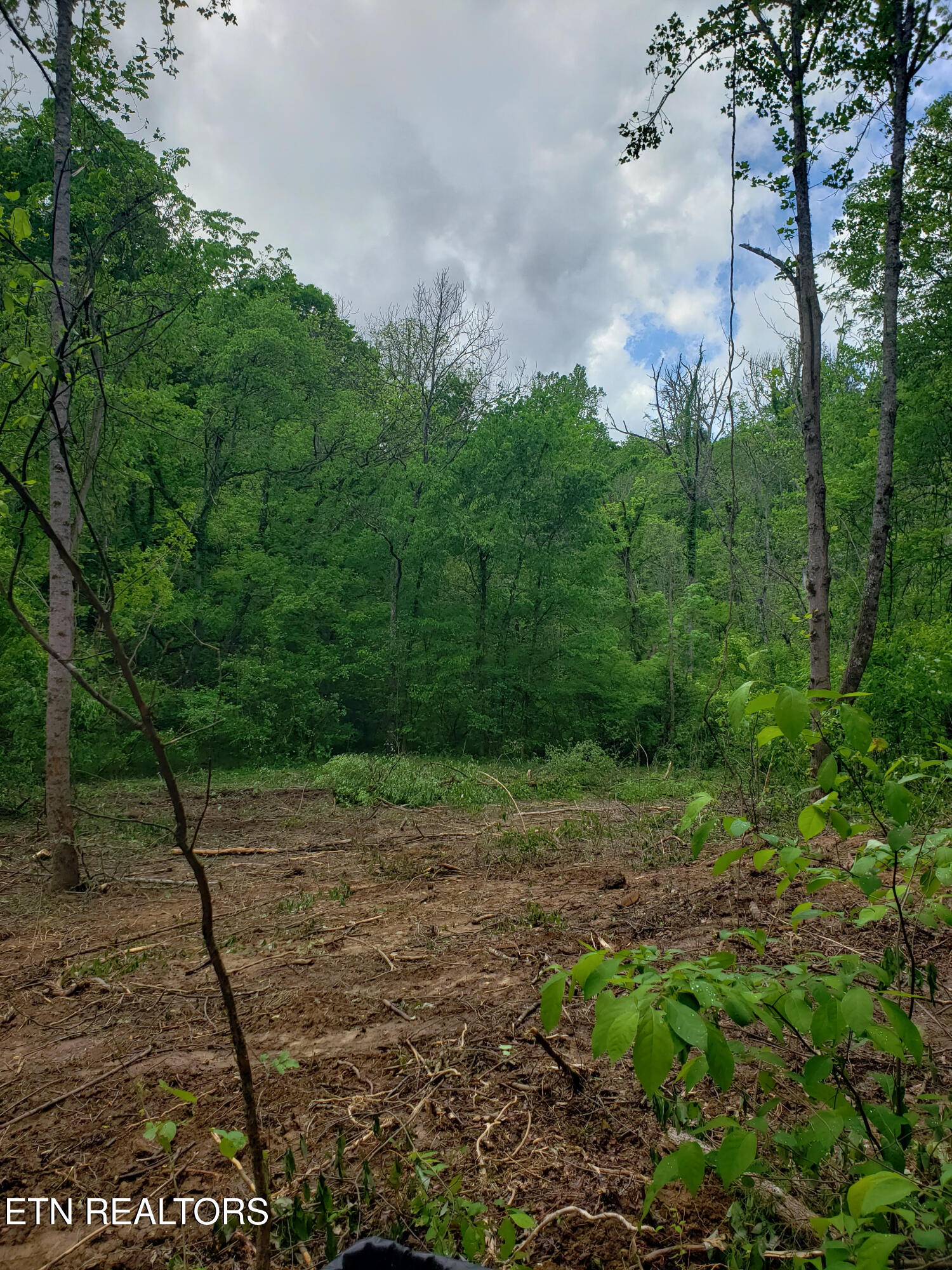 397 Moore Hollow Road Newport, TN 37821 - Photo 1 of 6 Photo 1