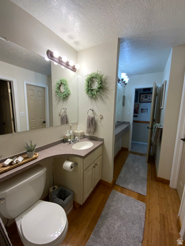 1061 Copper Street Stockton, UT 84071 - Photo 25 of 43 Bathroom featuring wood-finish flooring, a single vanity with an integrated sink and light-toned cabinetry, and a full-width mirror