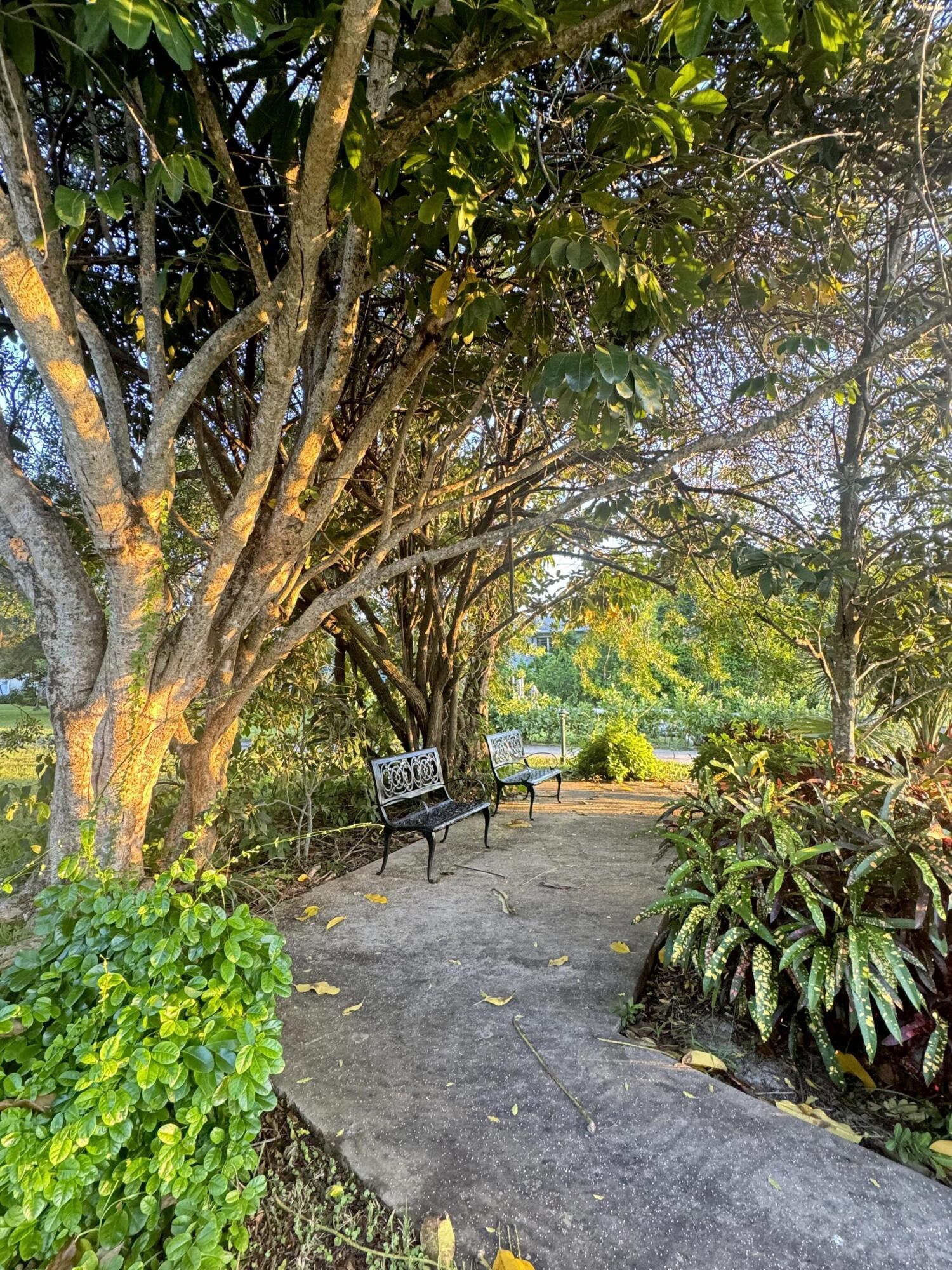 2320 Southwest 22nd Avenue, Unit 212 Delray Beach, FL 33445 - Photo 5 of 6 a view of outdoor space with deck and tree
