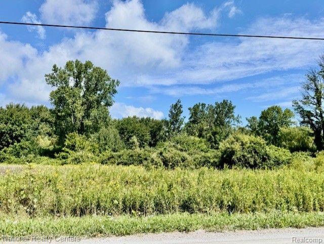 3154 Carrigan Road Fort Gratiot, MI 48059 - Photo 3 of 4