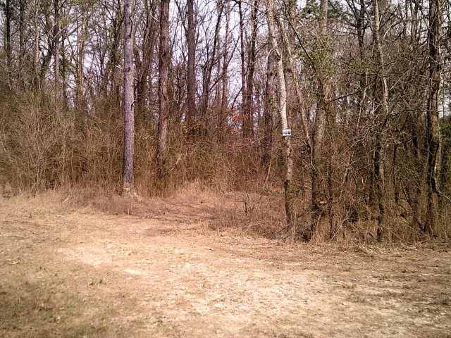 0 Tibbs Bridge Road Dalton, GA 30721 - Photo 4 of 11 Gallery Image 4