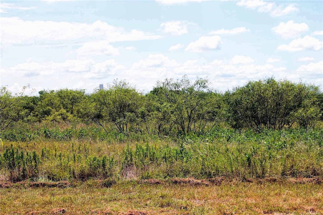3750 Barth Road Lockhart, TX 78644 - Photo 1 of 1 Gallery Image 1