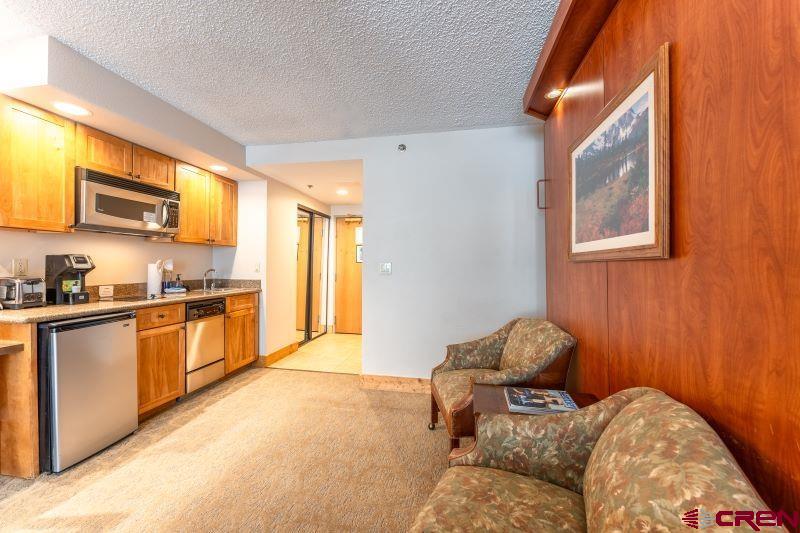 6 Emmons Road, Unit 216 Crested Butte, CO 81225 - Photo 8 of 19 Gallery Image 8