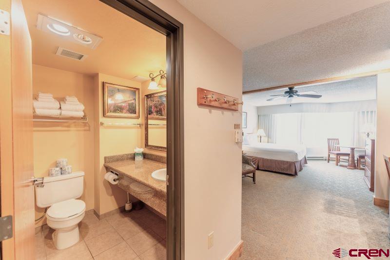 6 Emmons Road, Unit 216 Crested Butte, CO 81225 - Photo 9 of 19 Gallery Image 9