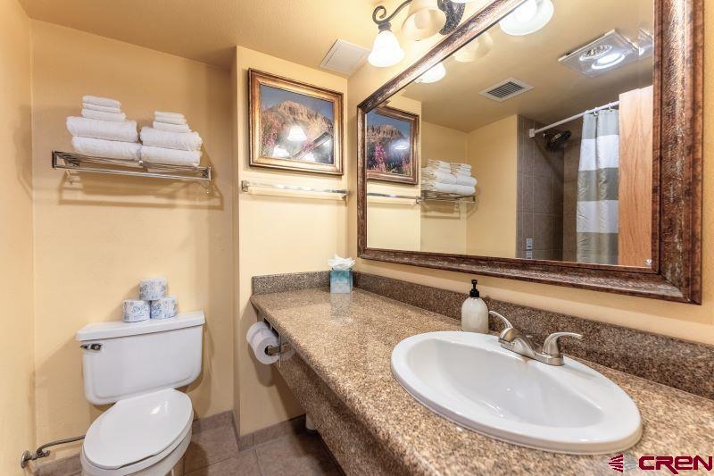 6 Emmons Road, Unit 216 Crested Butte, CO 81225 - Photo 10 of 19 Gallery Image 10