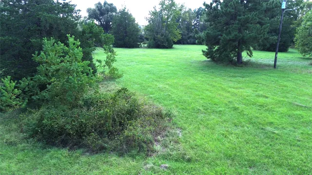 a view of green field with trees in the background