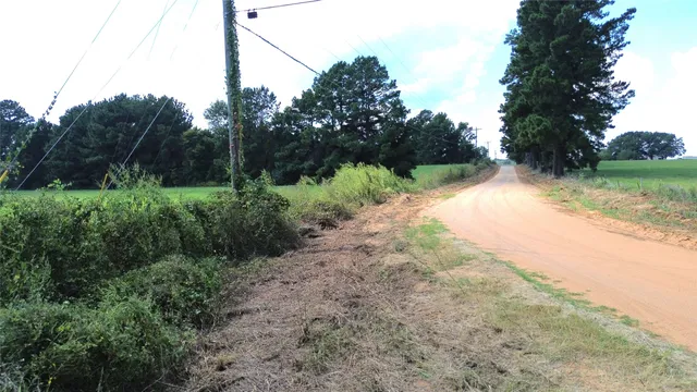 a view of backyard with green space