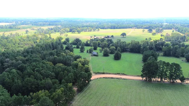 an aerial view of green landscape with trees houses and lake view