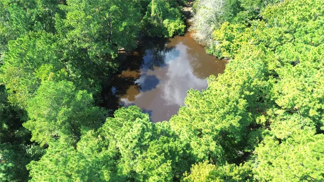 a view of a lake with a tree