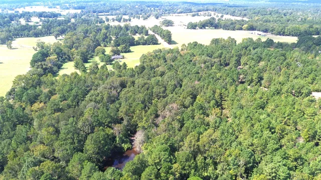 a view of a yard with plants