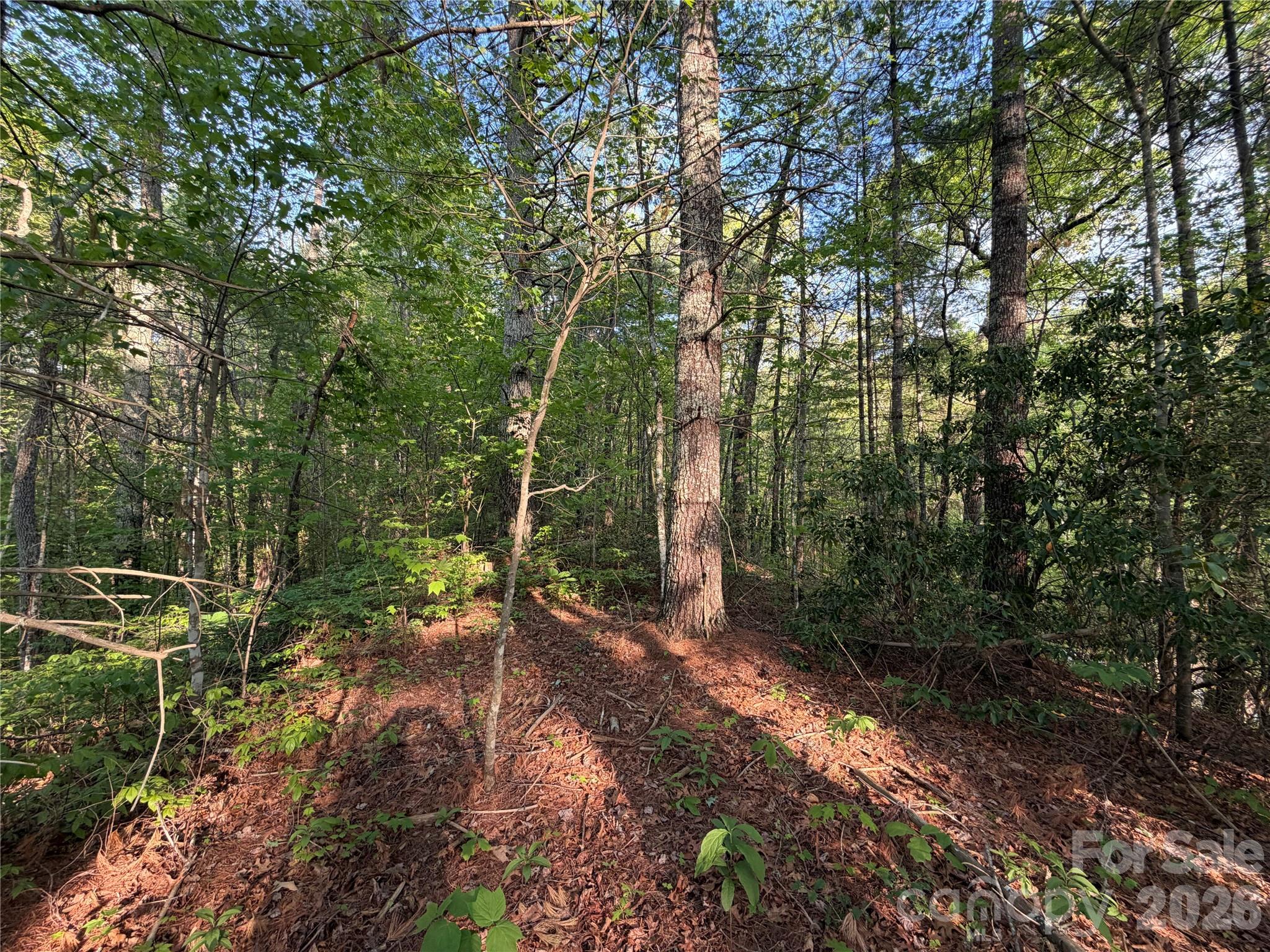 0 Howard Edwards Road Robbinsville, NC 28771 - Photo 6 of 21 Gallery Image 6