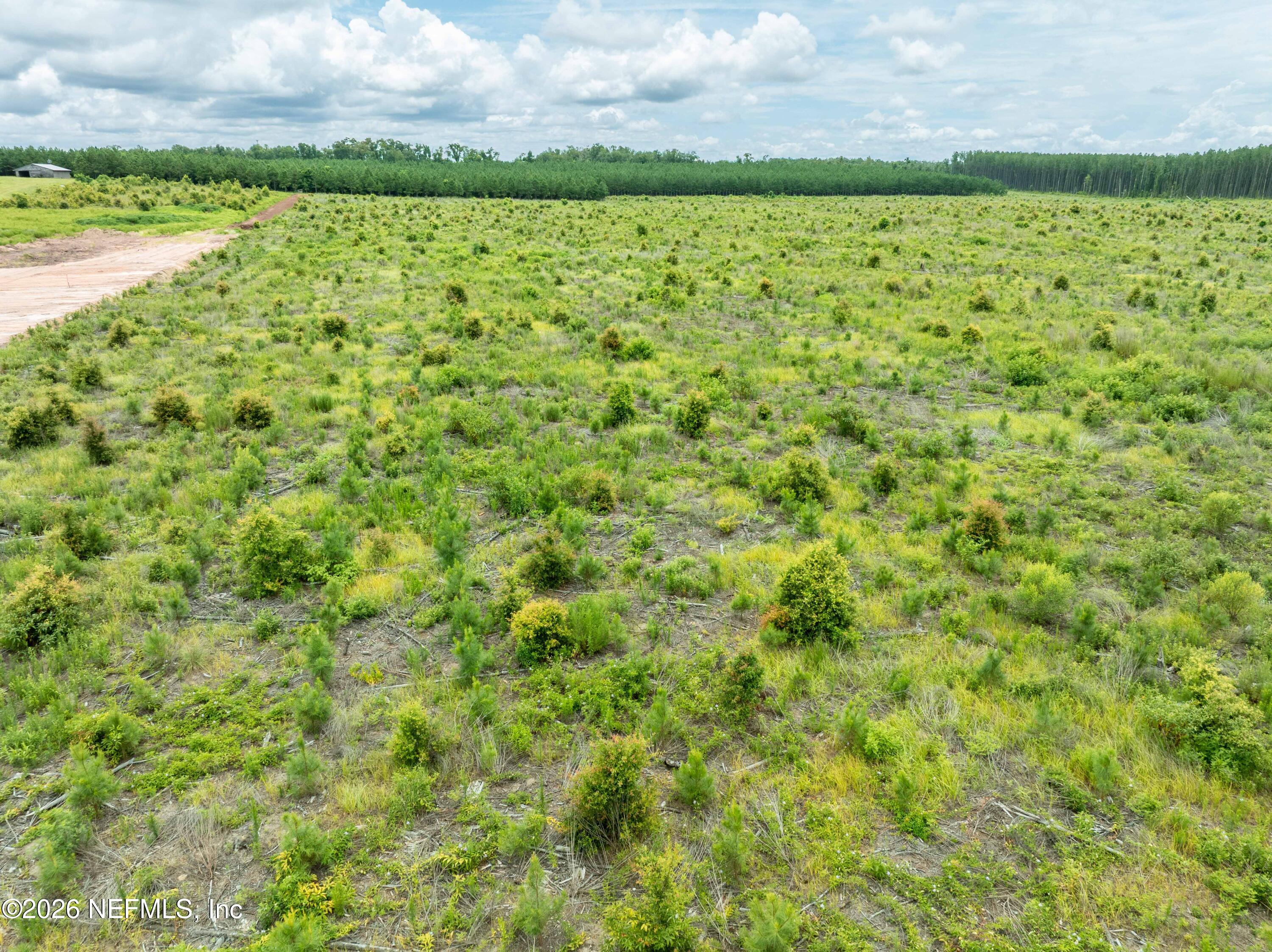 3500 Northeast Rocky Ford Road Pinetta, FL 32350 - Photo 8 of 14 DJI_0808