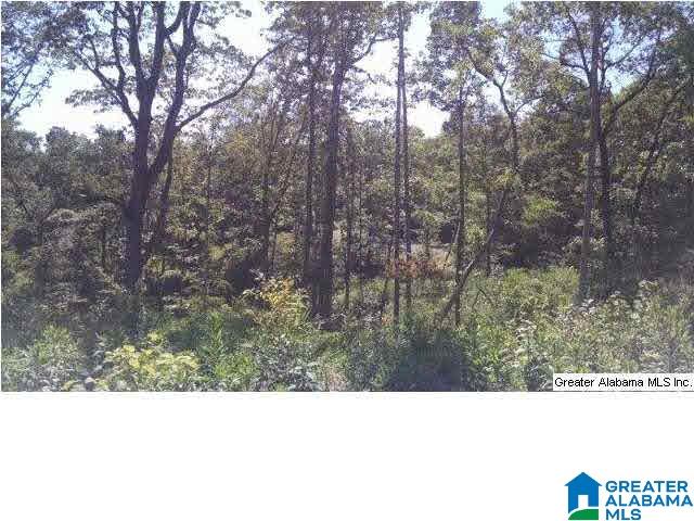 0 Beaver Ridge Drive, Unit 42 48 Ashville, AL 35953 - Photo 19 of 26