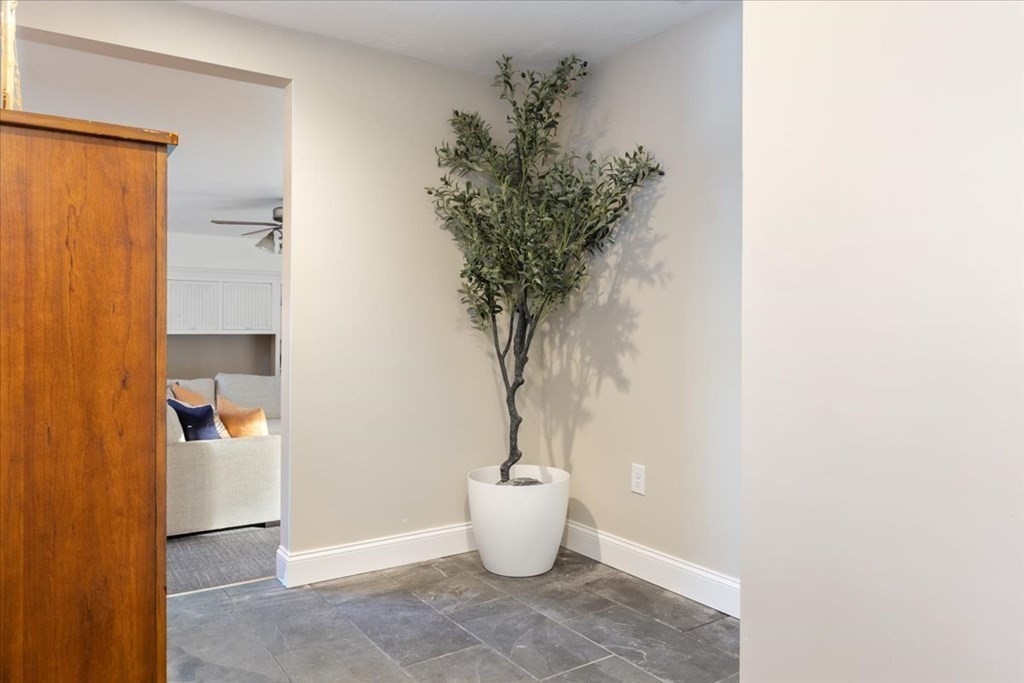 294 County Road Hanson, MA 02341 - Photo 14 of 38 a view of a flower pot