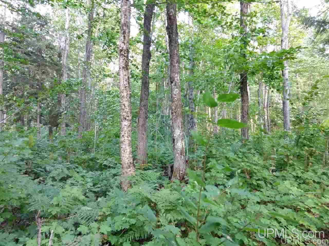 Tbd Sandstone B Road Lake Linden, MI 49945 - Photo 37 of 50