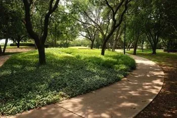 a view of green field