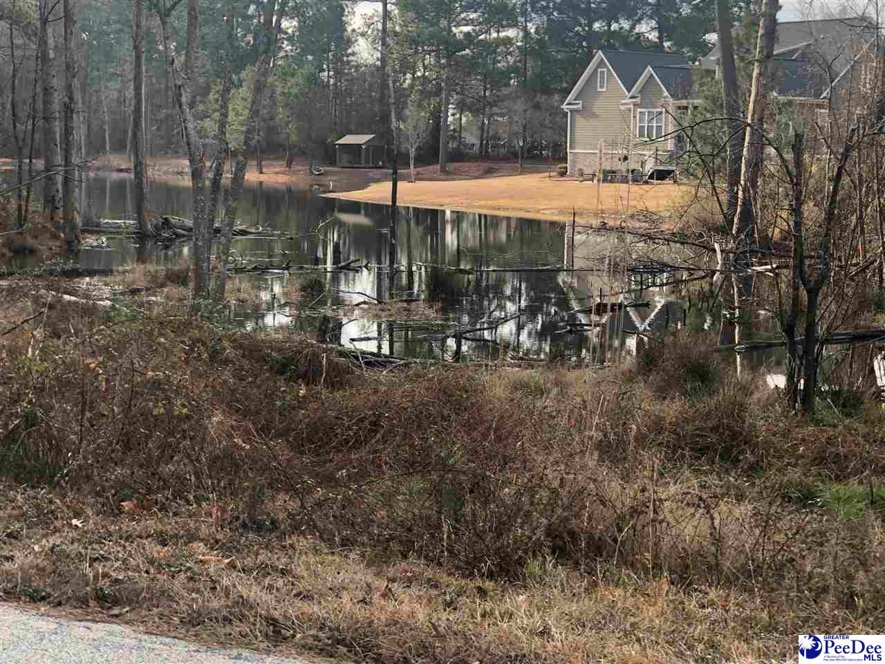 4-5 Morrison Road Hartsville, SC 29550 - Photo 2 of 3 Gallery Image 2
