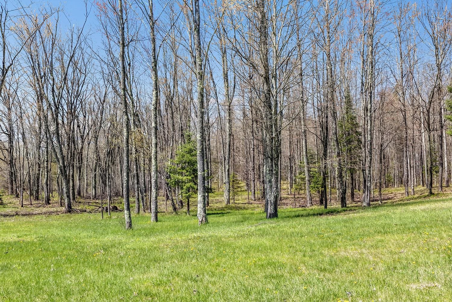 W14398 Camp 5 Road Athelstane, WI 54104 - Photo 21 of 36