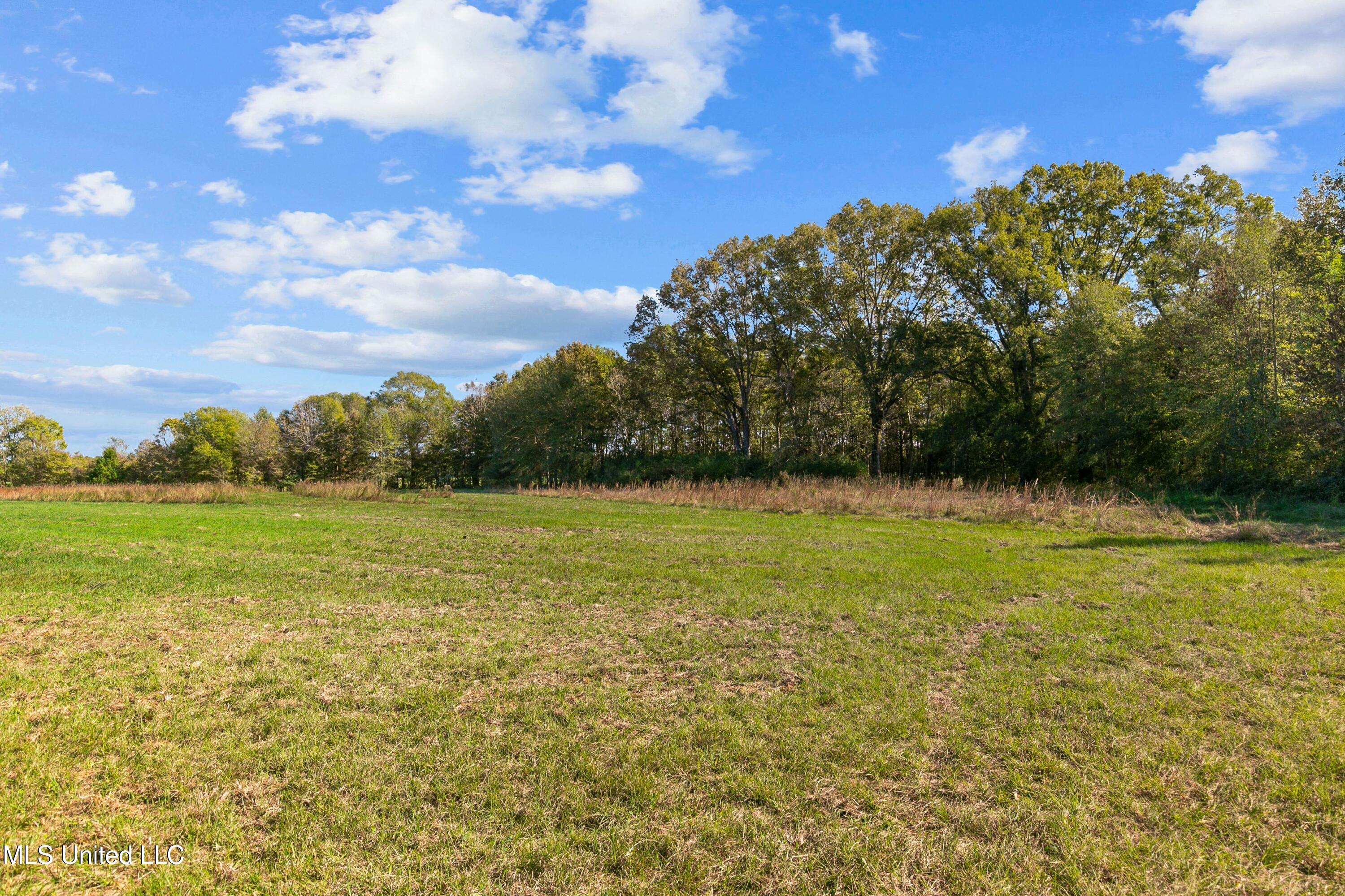 1 Middleton Road Flora, MS 39071 - Photo 1 of 1 aBnYUpsQ