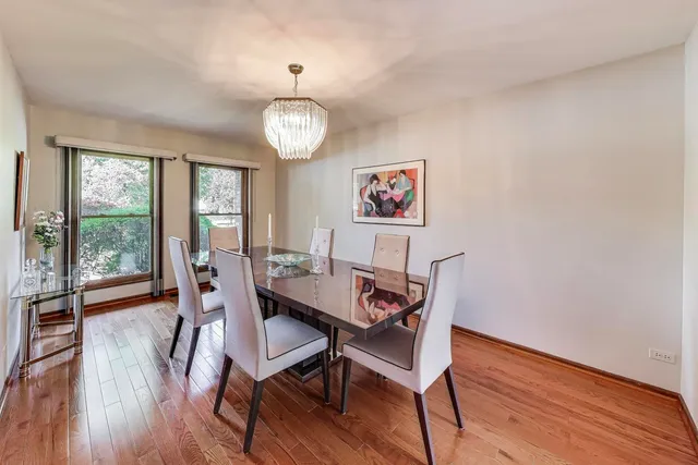 a view of a dining room with furniture wooden floor and a rug