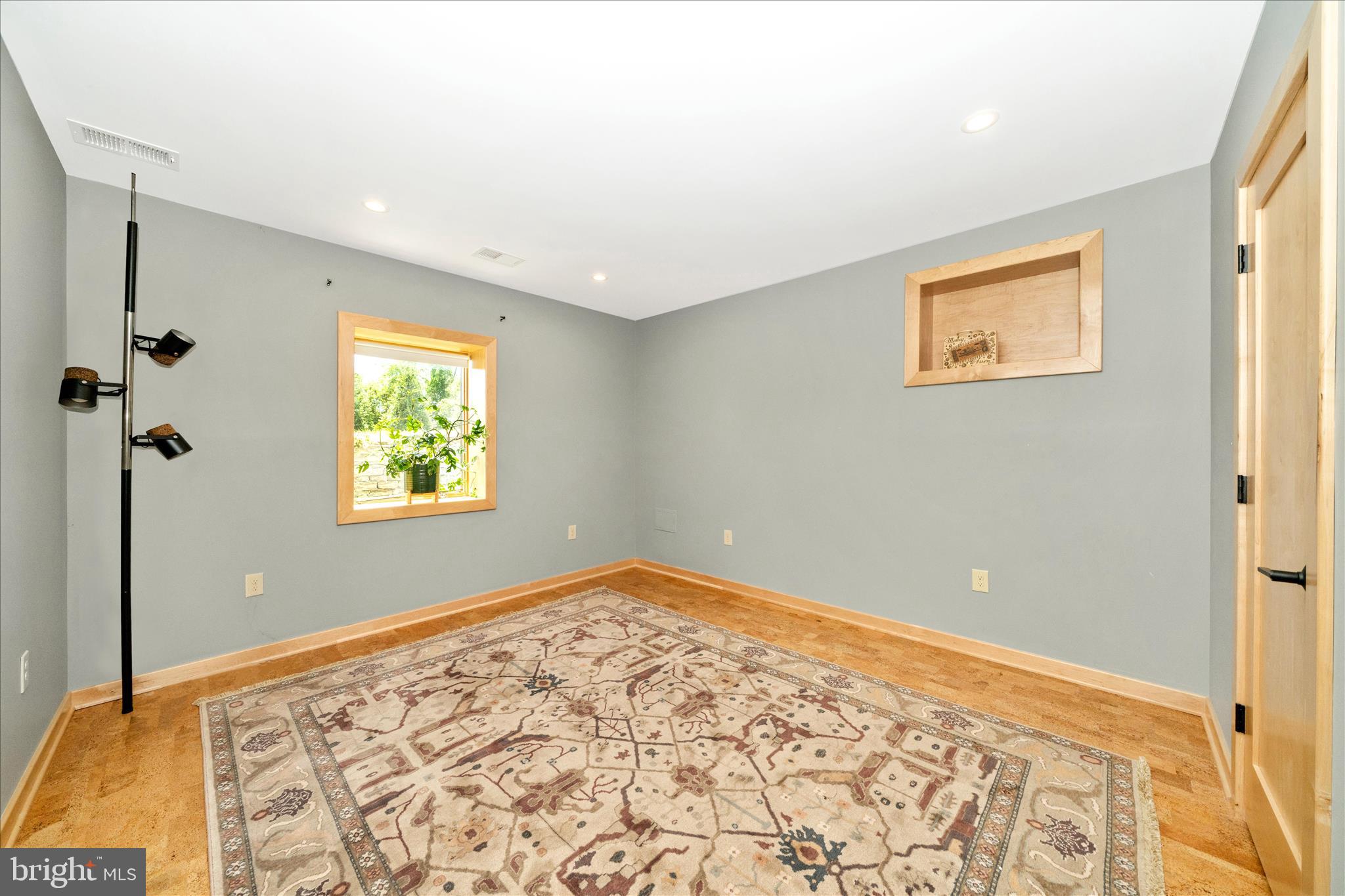 9237 Frostown Road Middletown, MD 21769 - Photo 62 of 113 Lower Bedroom 2 is a blank slate