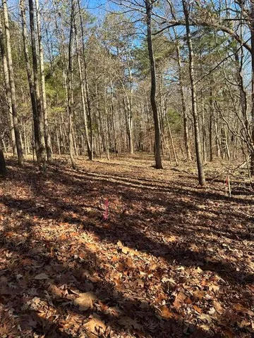 $79,900 | Lot 2 Lower River Road Northwest, Charleston, TN 37310