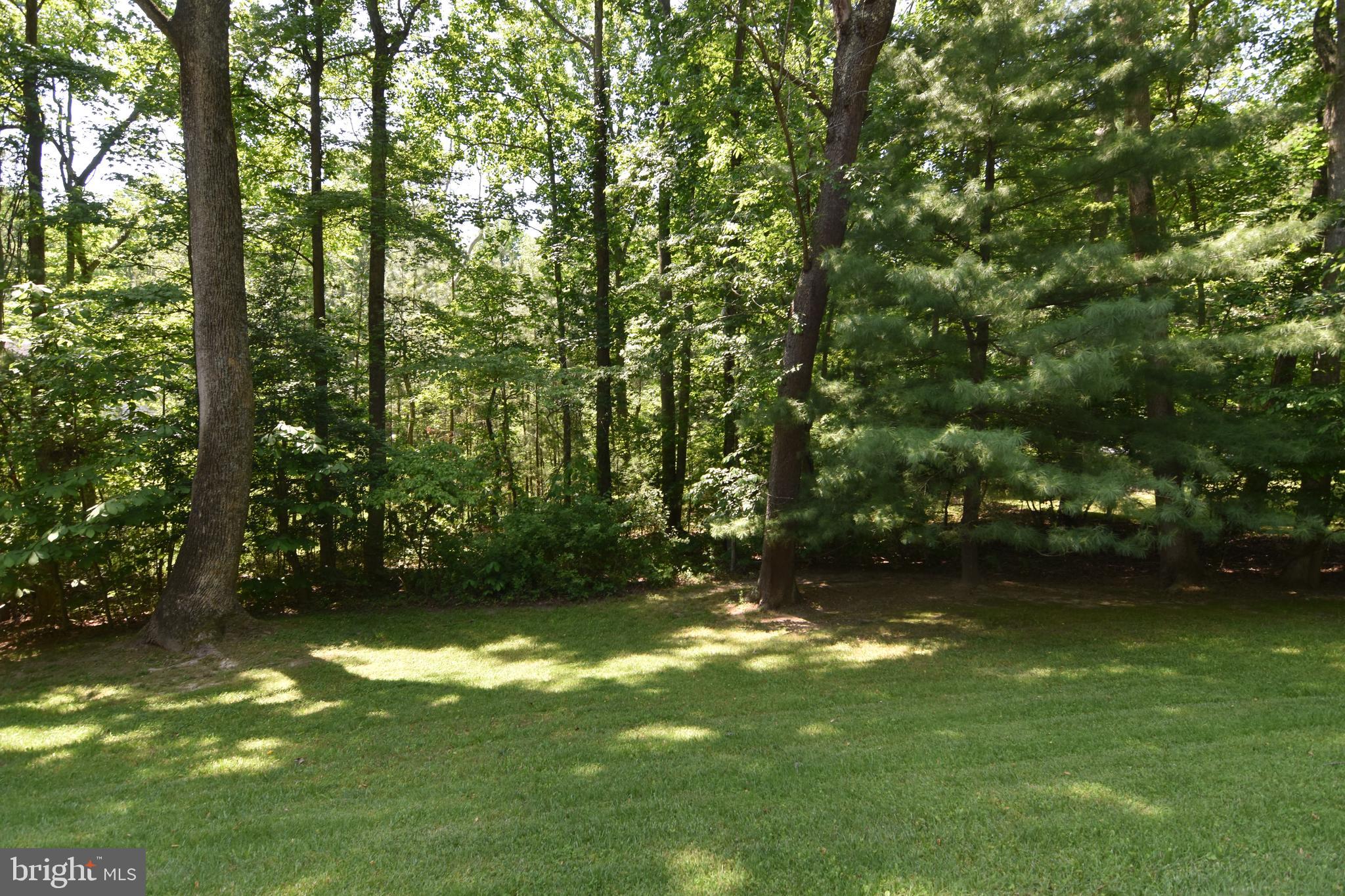 1320 Commodore Barney Road St. Leonard, MD 20685 - Photo 5 of 86 Gallery Image 5