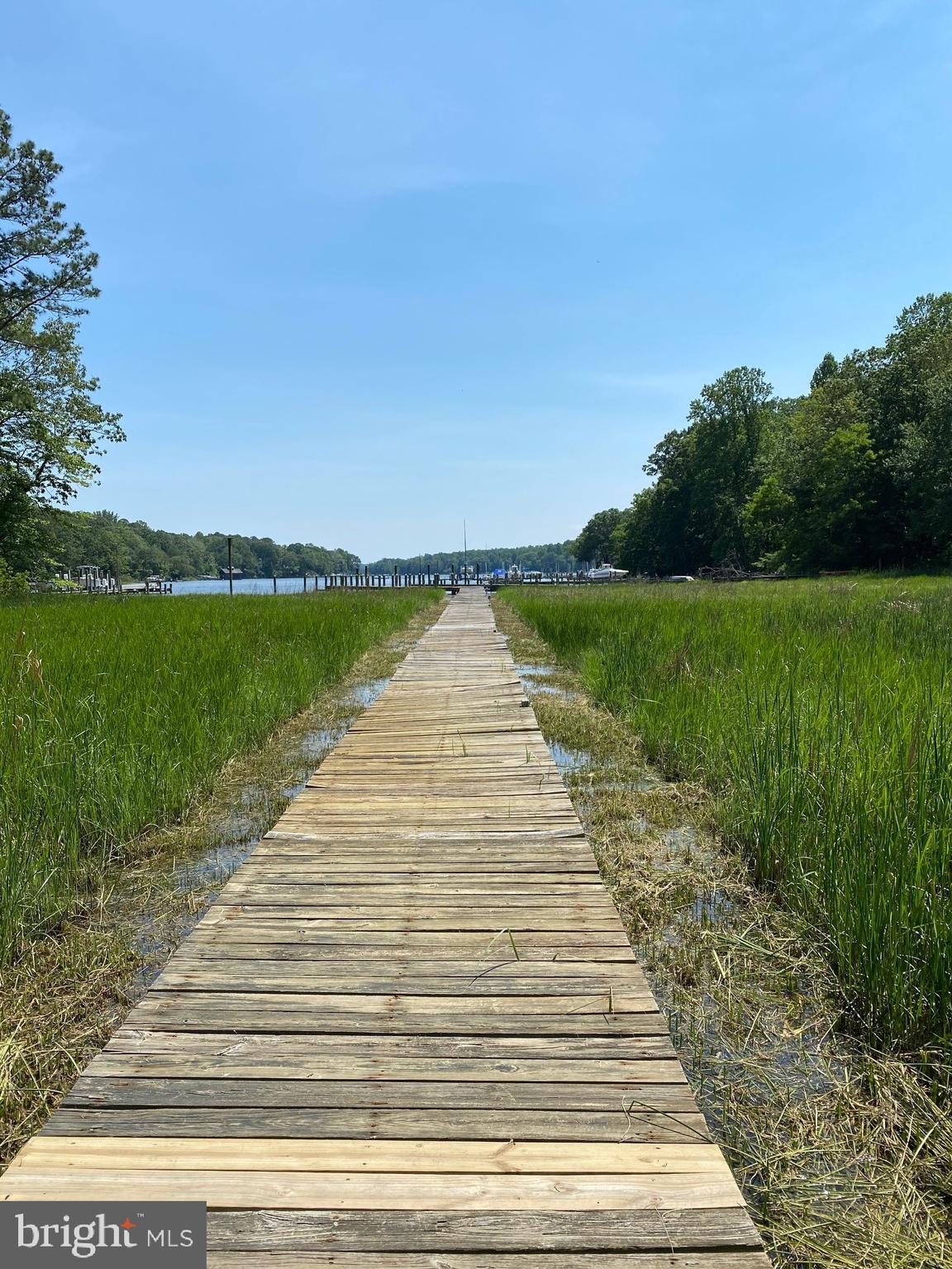 1320 Commodore Barney Road St. Leonard, MD 20685 - Photo 56 of 86 Shared walkway to pier