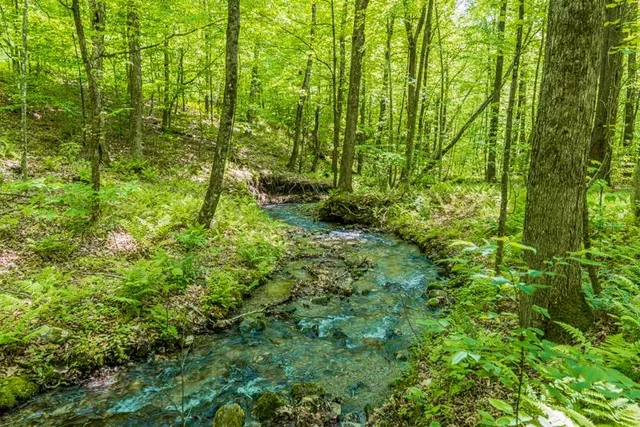 $1,347,000 | 951 Rupert Road, Sandgate, VT 05250