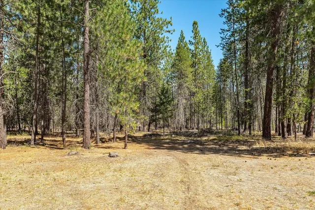 $585,000 | 7621 East Hamilton Road, Chattaroy, WA 99003