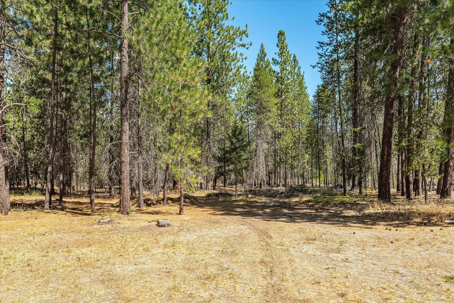 7621 East Hamilton Road Chattaroy, WA 99003 - Photo 45 of 50