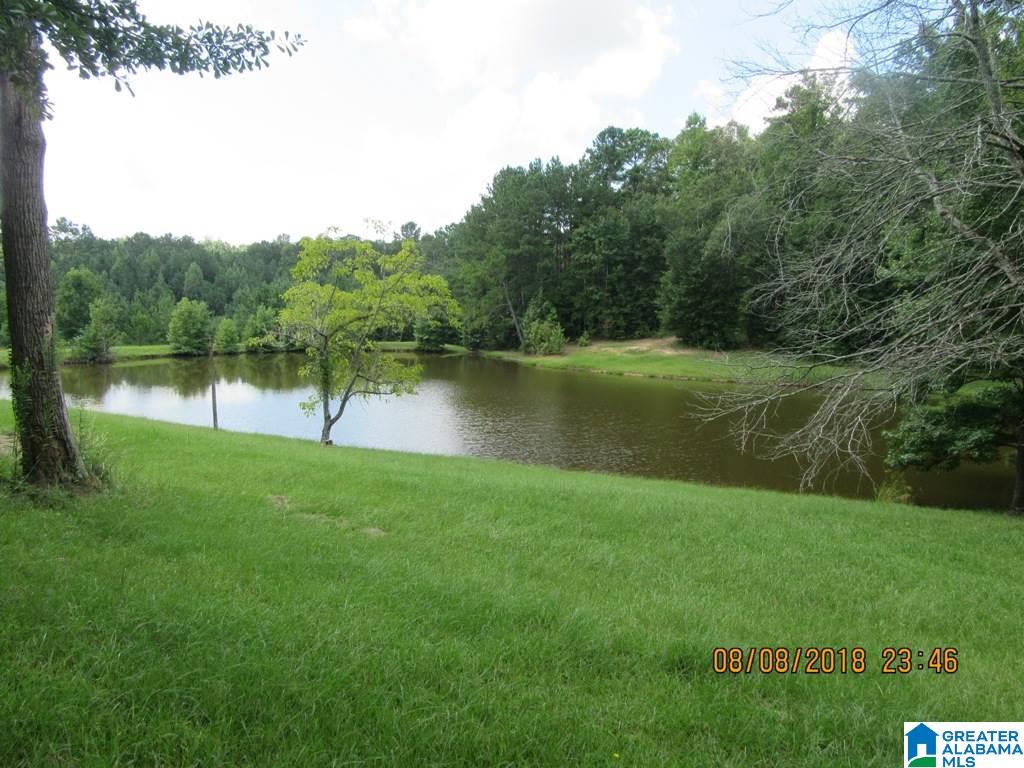 1791 Old Shocco Road Talladega, AL 35160 - Photo 5 of 22