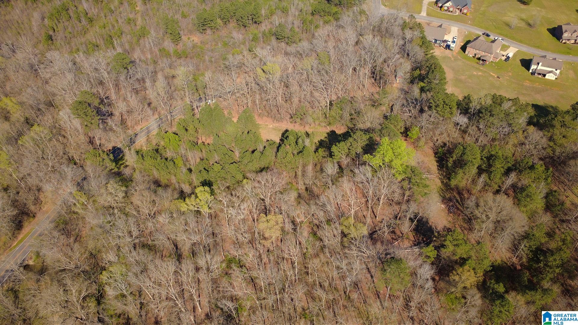 3590 Lindsey Loop Road Bessemer, AL 35022 - Photo 10 of 21 Gallery Image 10