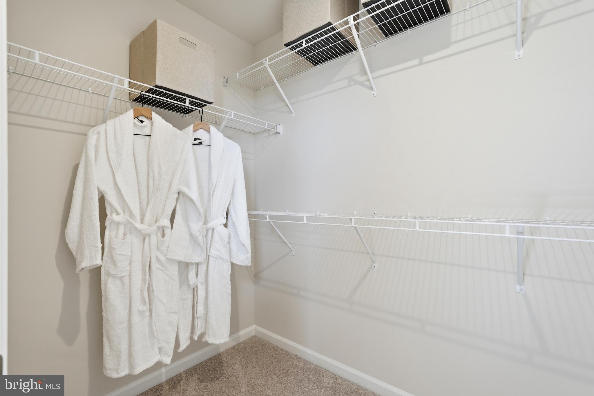 39 United Mews, Unit 544 Ranson, WV 25438 - Photo 68 of 87 Hastings- Walk In Closet staged