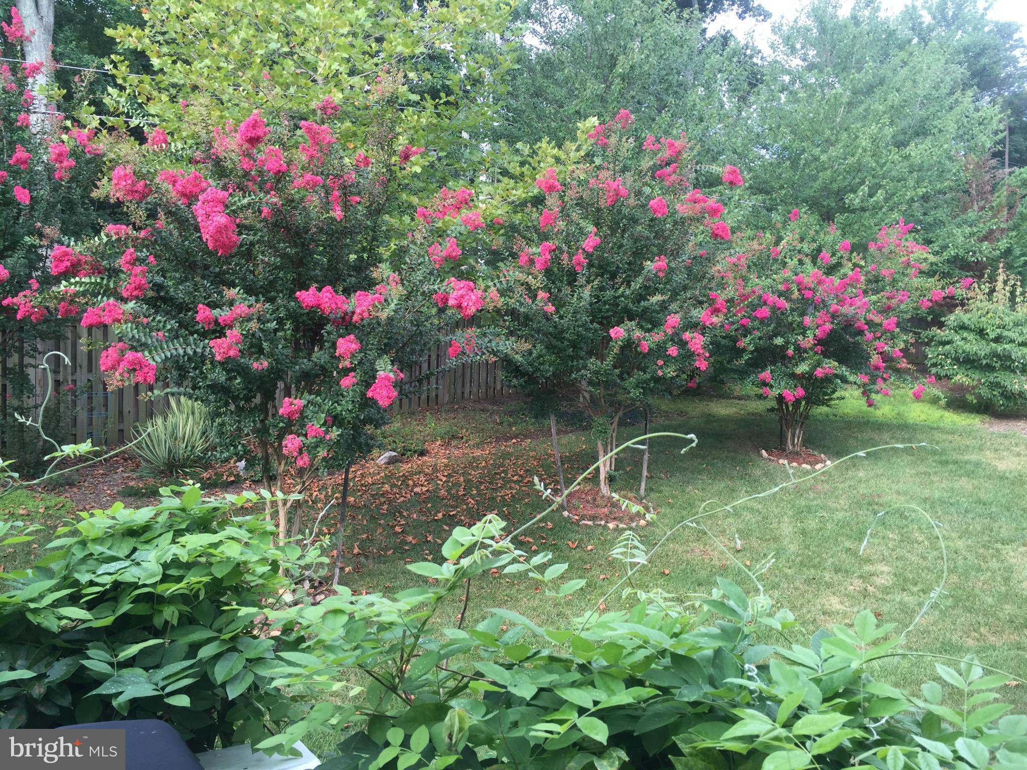 8563 Mazzello Place Springfield, VA 22153 - Photo 28 of 30 View (during the warmer months)