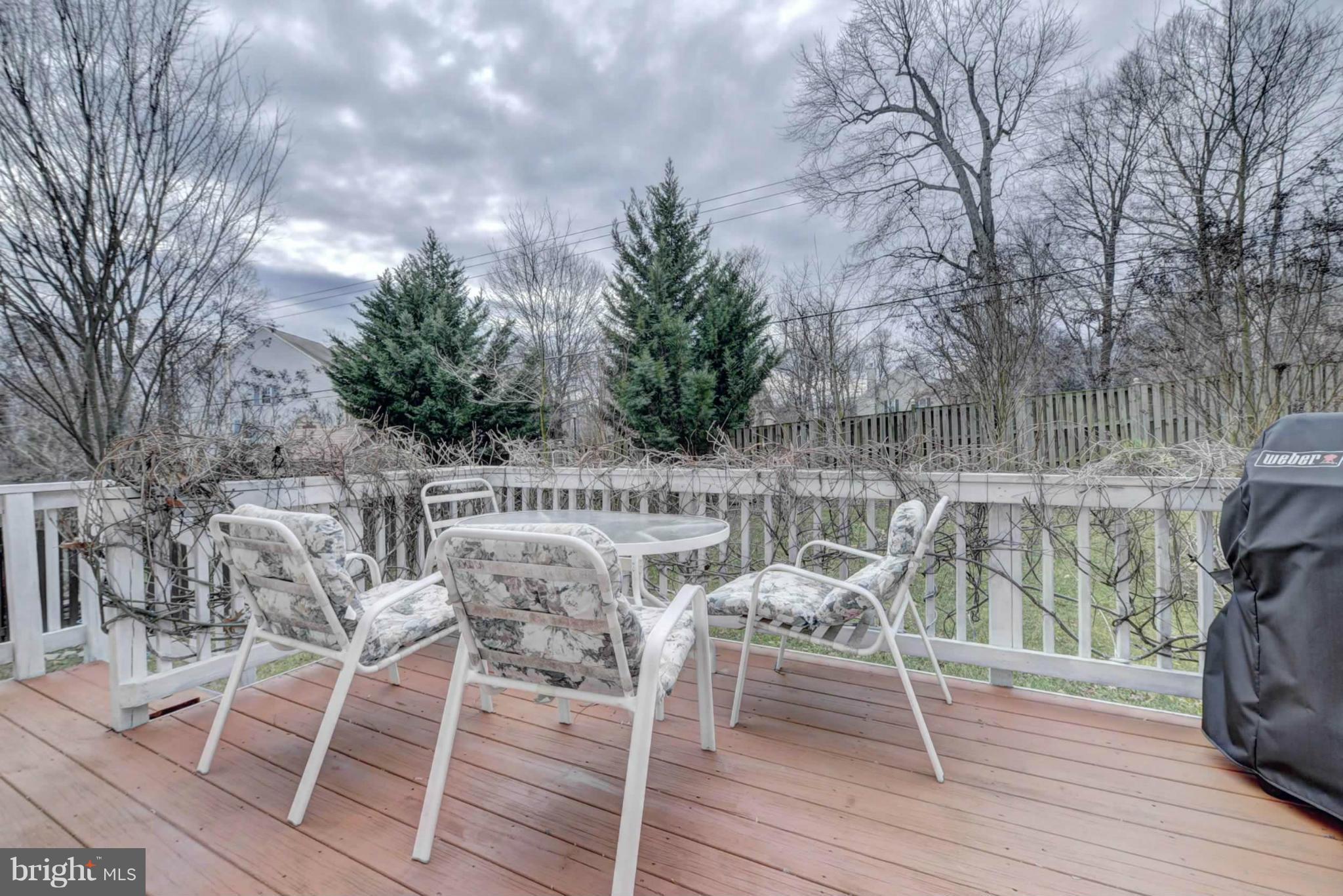 8563 Mazzello Place Springfield, VA 22153 - Photo 29 of 30 Exterior (Deck)