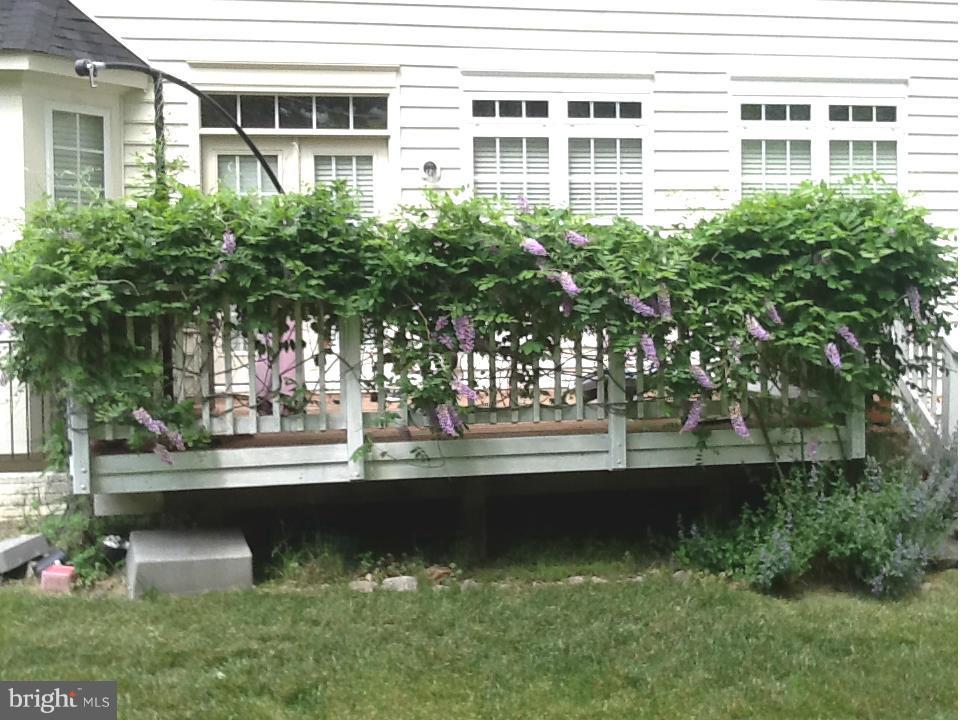 8563 Mazzello Place Springfield, VA 22153 - Photo 30 of 30 View (during the warmer months)