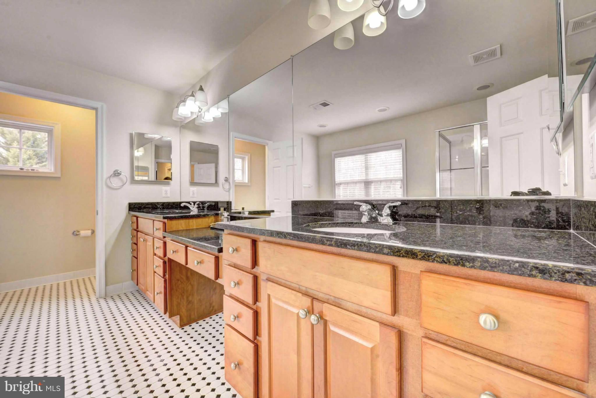 8563 Mazzello Place Springfield, VA 22153 - Photo 7 of 30 Master Bath (Vanity)