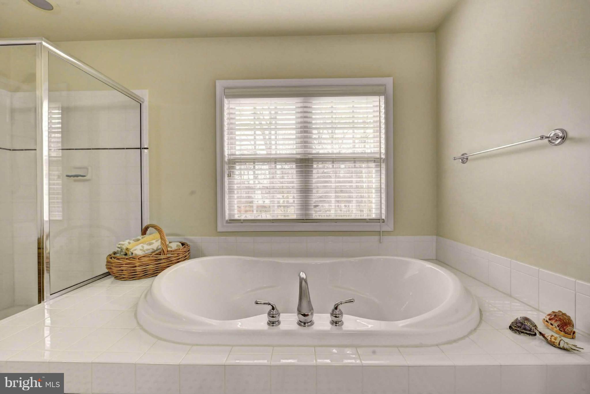 8563 Mazzello Place Springfield, VA 22153 - Photo 8 of 30 Master Bath (Soaking Tub)