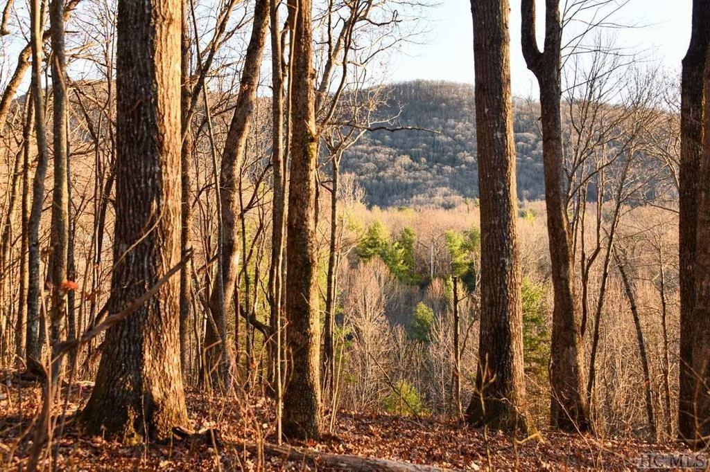 Tbd Bald Mountain Road Dillard, GA 30537 - Photo 3 of 3 Gallery Image 3