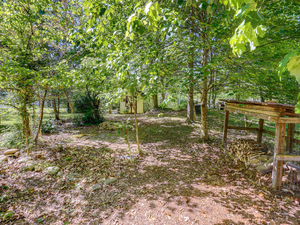 41 Jones Road Erwin, TN 37650 - Photo 4 of 49 DF220E1A-C06A-4E93-AA43-64C4FBC5A135
