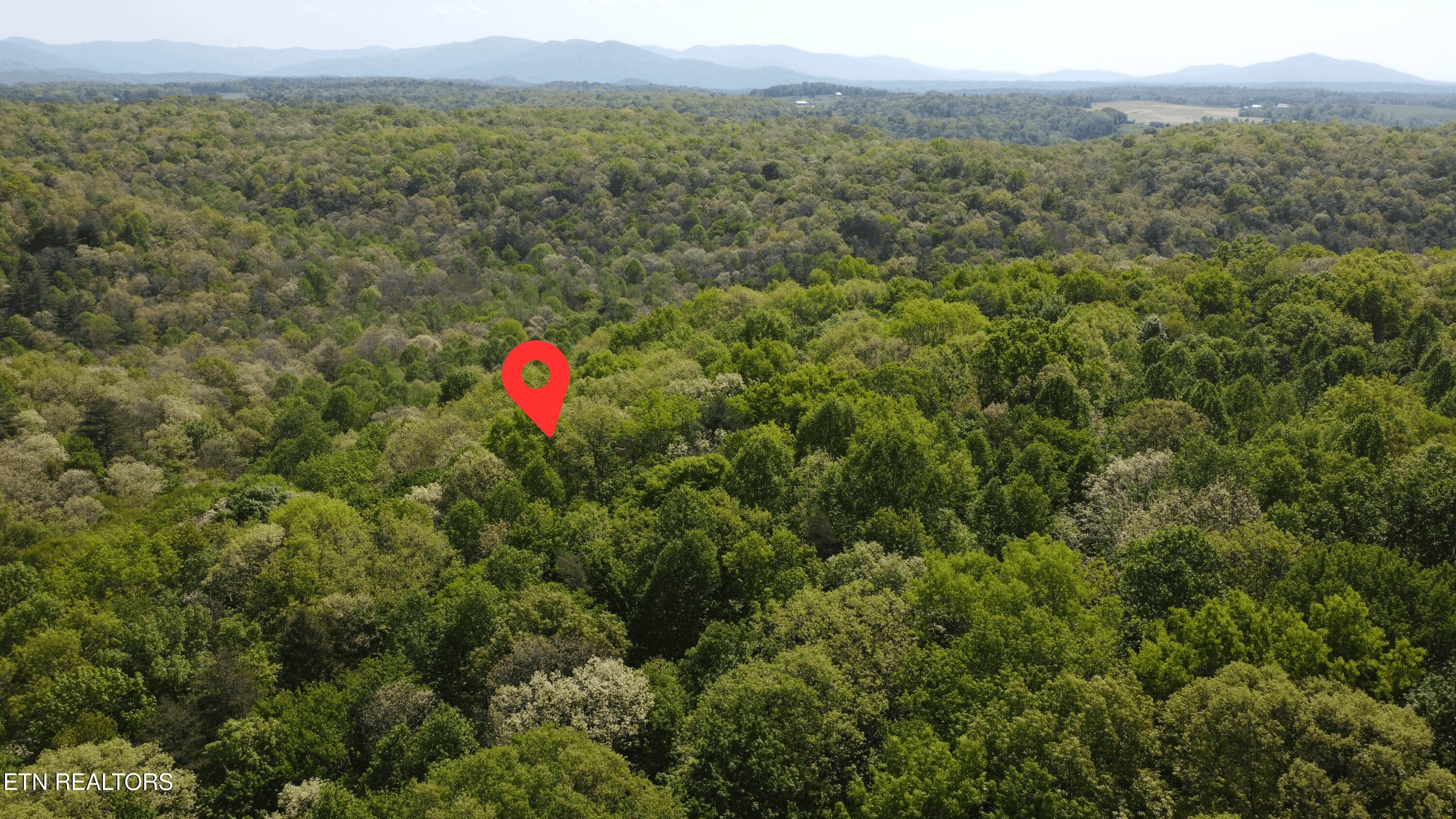 391 Ridge Road Lancing, TN 37770 - Photo 1 of 10 Drone Aerial